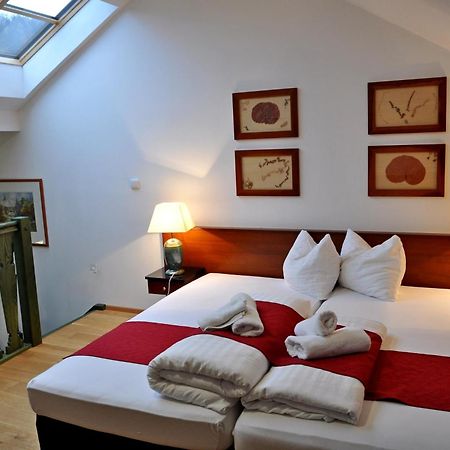 Hotel U Bileho Kone Loket Room photo